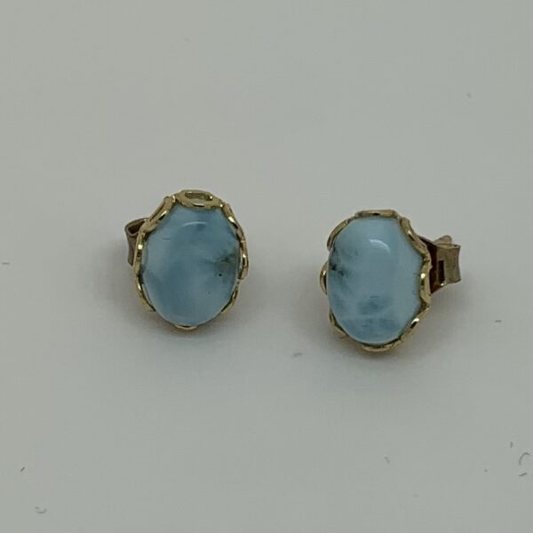 /earrings