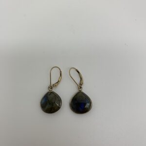 LabradoriteDanglyEarrings/