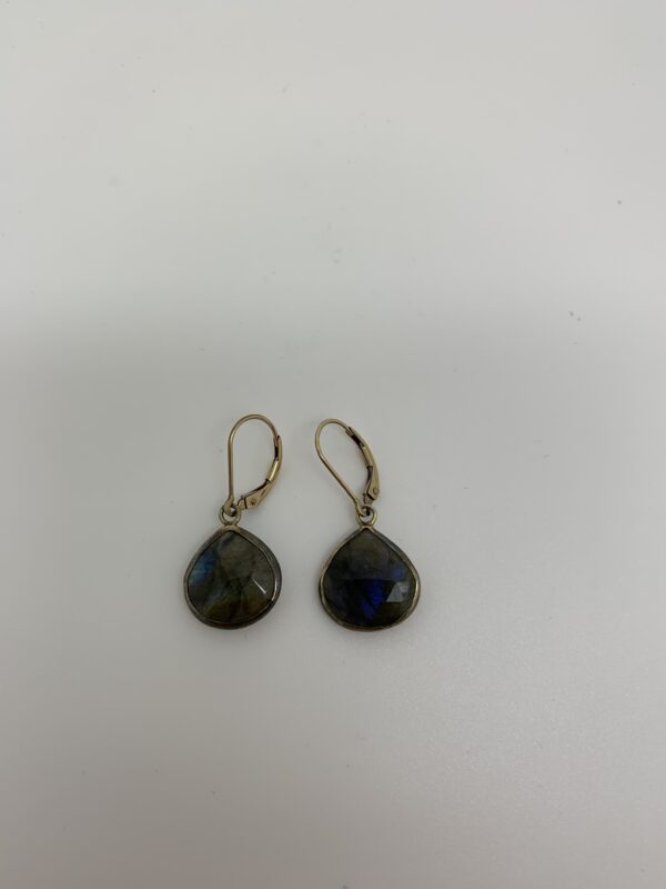 LabradoriteDanglyEarrings/